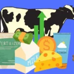 Cow Dung Business Ideas