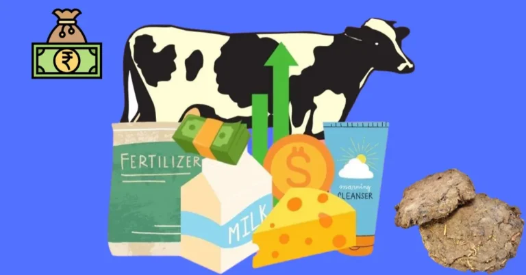 Cow Dung Business Ideas