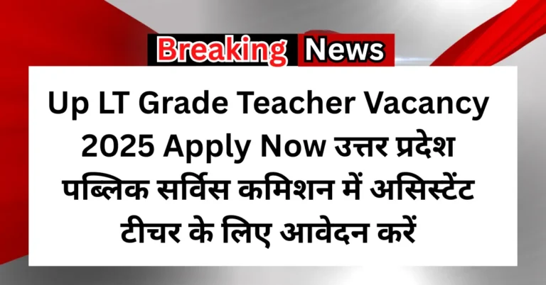 Up LT Grade TeacherUp LT Grade Teacher