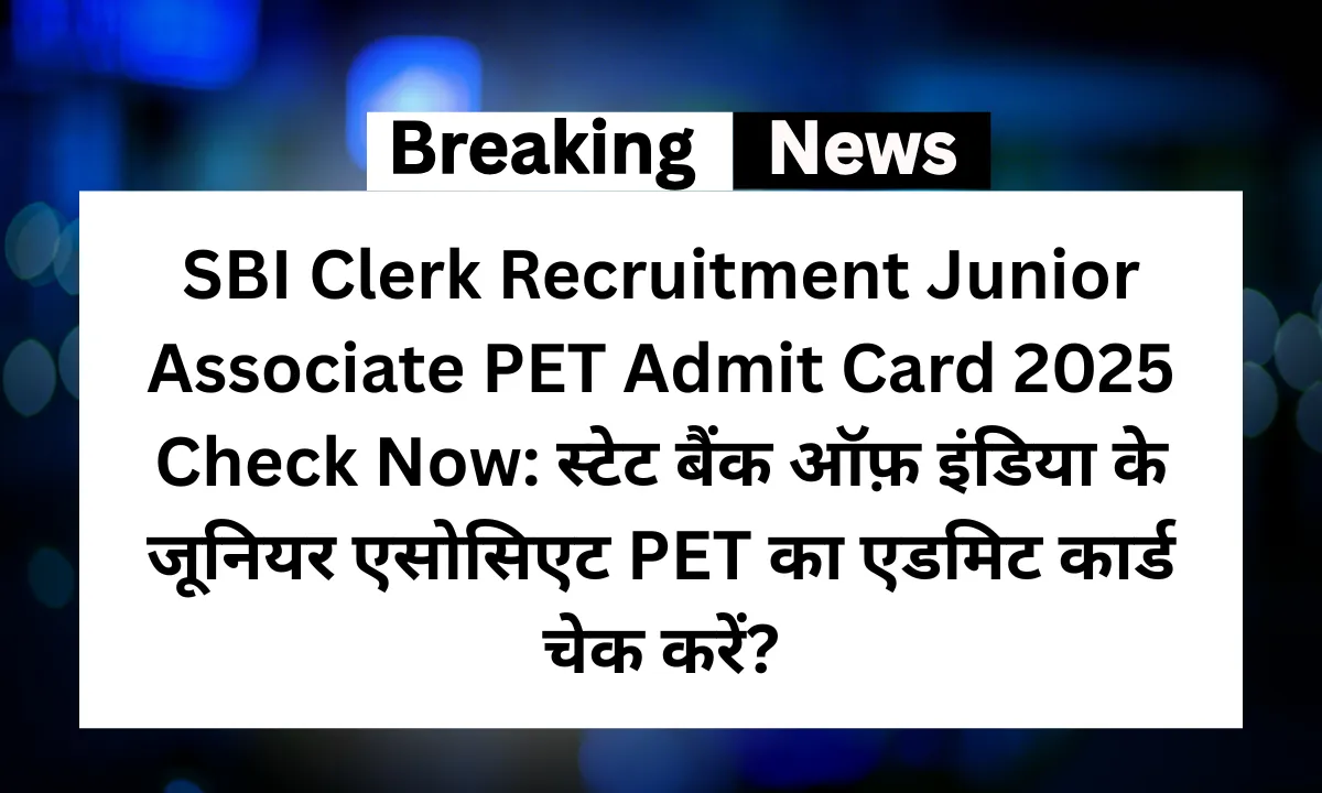 SBI Clerk Recruitment Junior Associate PET Admit Card (1)