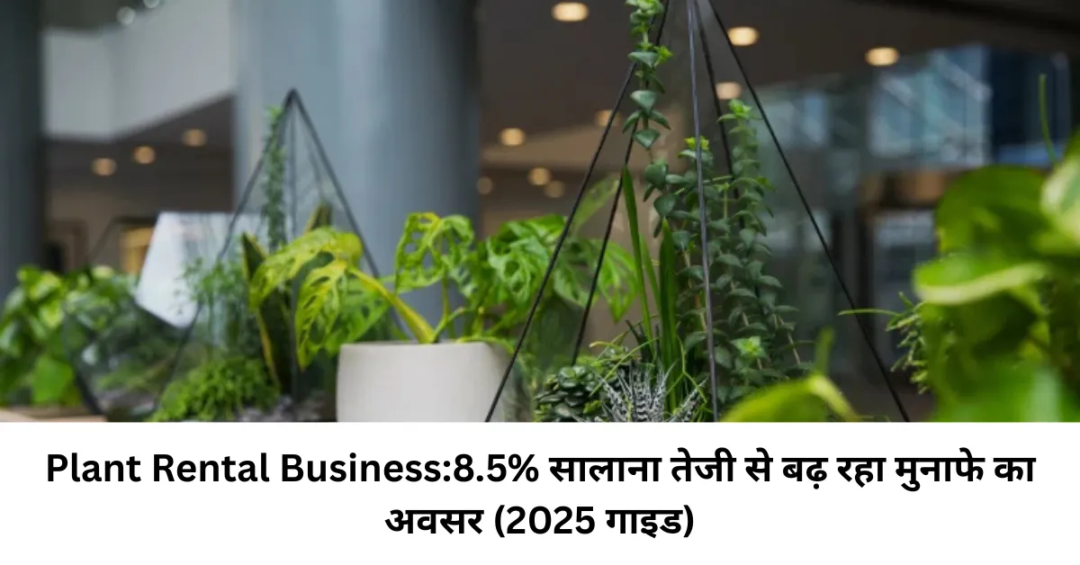 Plant Rental Business